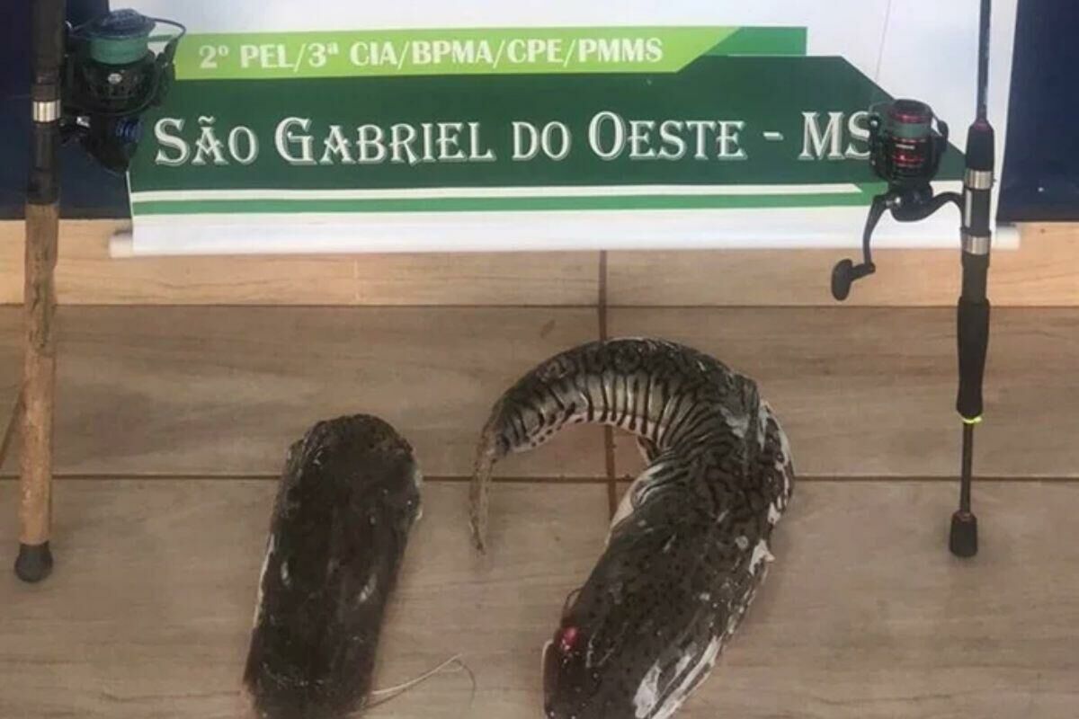 Imagem de compartilhamento para o artigo Homem é preso e multado em R$ 1,4 mil por pesca ilegal no Rio Coxim da MS Todo dia